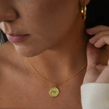 Lioness Pendant Necklace featuring a detailed lioness motif, available in gold vermeil and sterling silver.