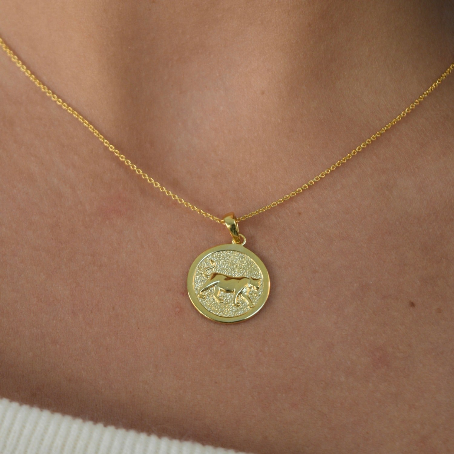 Lioness Pendant Necklace featuring a detailed lioness motif, available in gold vermeil and sterling silver.